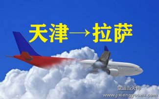 天津濱海機場空運到西藏拉薩_飛機托運